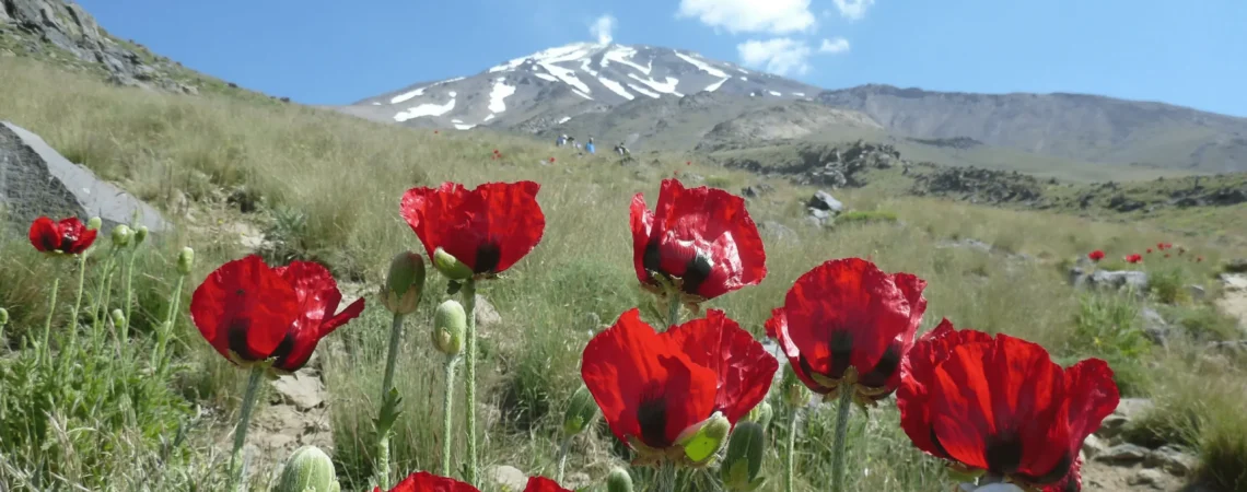 Widok na szczyt Damavand