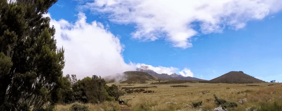 Widoki w drodze na szczyt Kilimanjaro