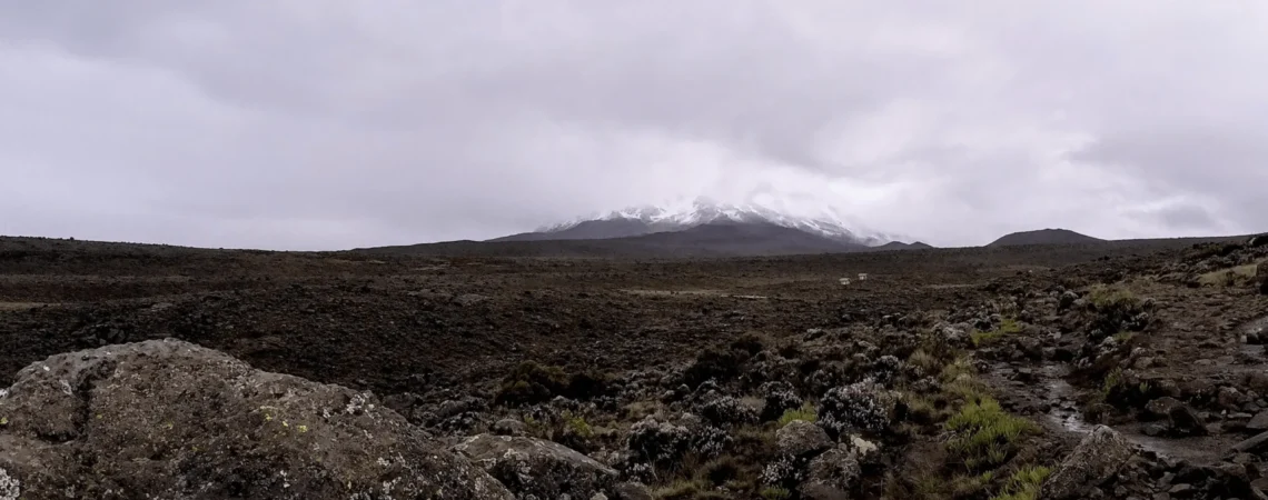 Widok na szczyt Kilimanjaro