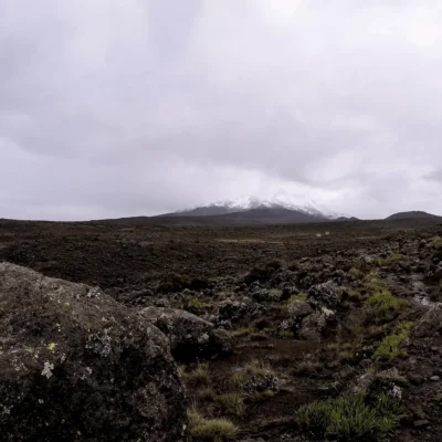 Tanzania/Kilimanjaro 2020