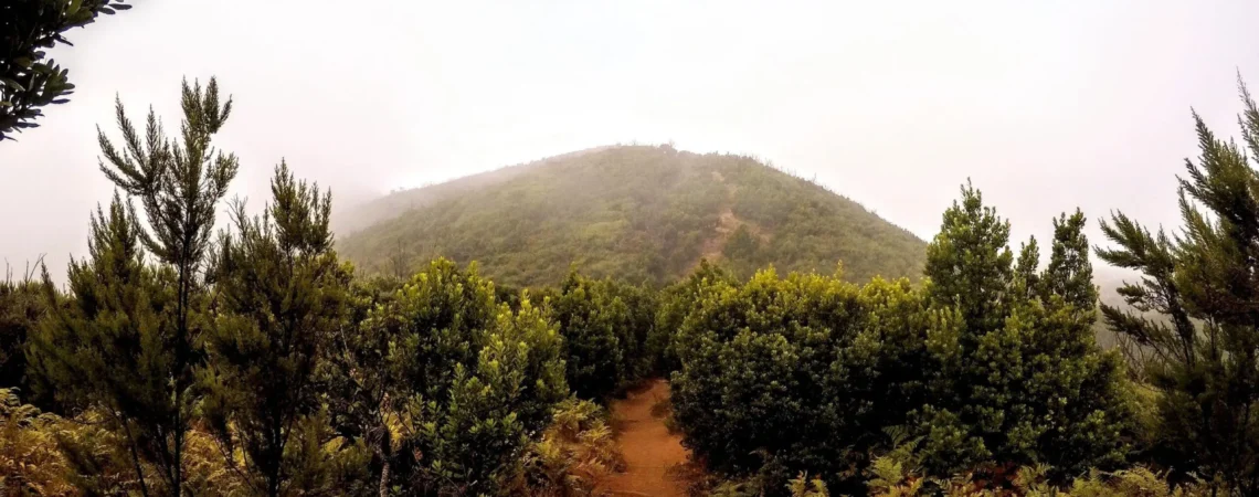 Widok na najwyższy szczyt wyspy La Gomera - Garajonay w Parku Narodowym Garajonay