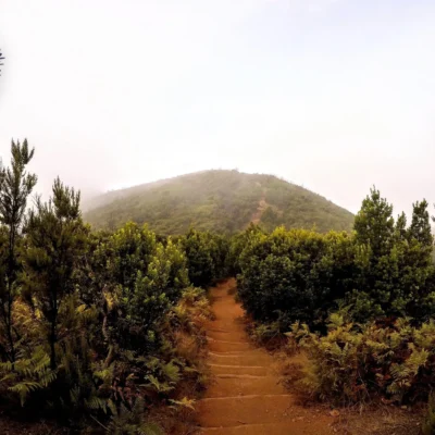 La Gomera/Wyspy Kanaryjskie 2021