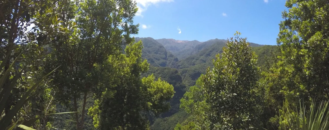 Widoki na wyspie La Palma