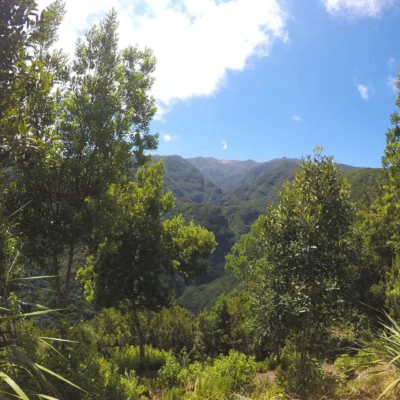 La Palma/Wyspy Kanaryjskie 2021