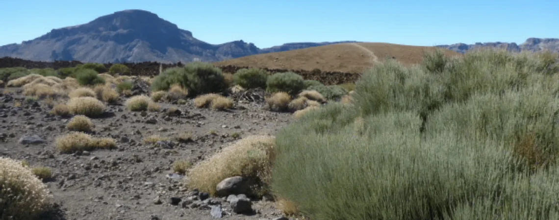 Widoki pod szczytem Pico de Teide