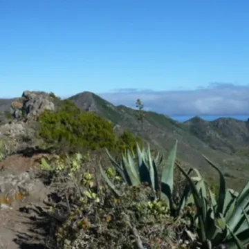 Teneryfa – podsumowanie wyprawy