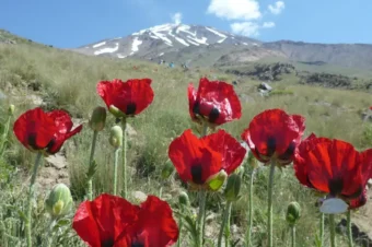 Damawand – Podsumowanie wyprawy