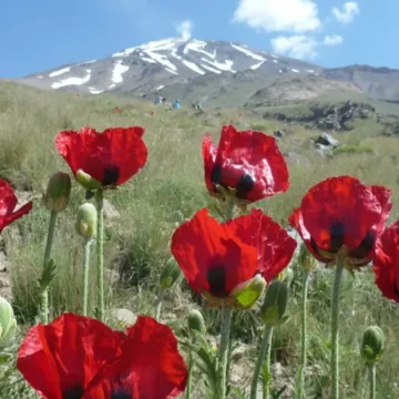 Damawand – Podsumowanie wyprawy