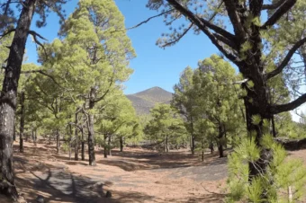 Sprzęt La Palma – Co zabrać ze sobą?