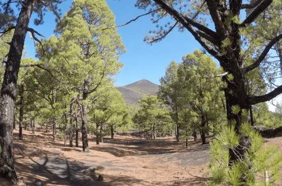 Sprzęt La Palma – Co zabrać ze sobą?