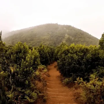 La Gomera – Organizacja wyjazdu