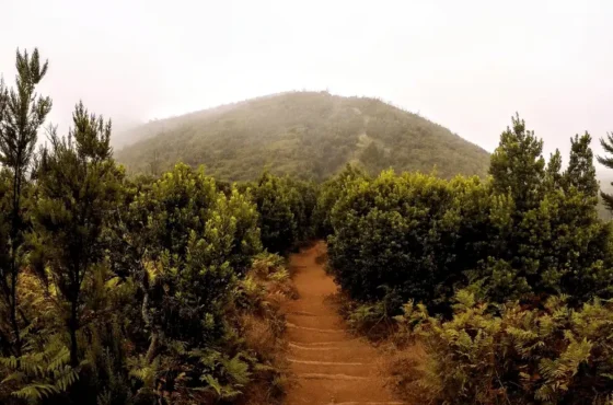 La Gomera – Organizacja wyjazdu