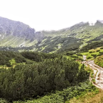 Przełęcz Liliowe – ulubione trasy w Tatrach