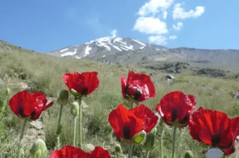 Damavand – Trzy praktyczne wskazówki