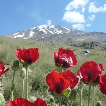 Damavand – Trzy praktyczne wskazówki