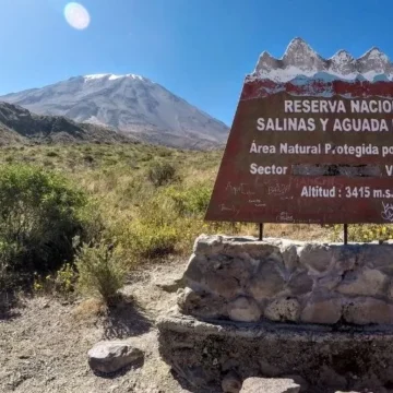 Misti i Chachani – organizacja wyjazdu