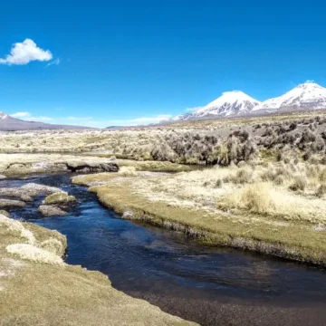 Park Sajama zwiedzanie – Co warto zobaczyć?