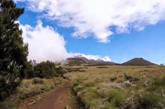 Szczyt Kilimanjaro – Organizacja wyprawy