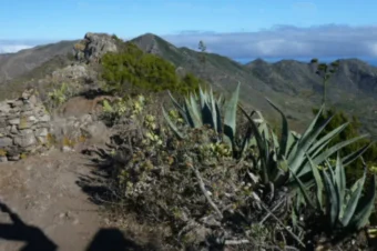 Teneryfa – Trzy praktyczne wskazówki