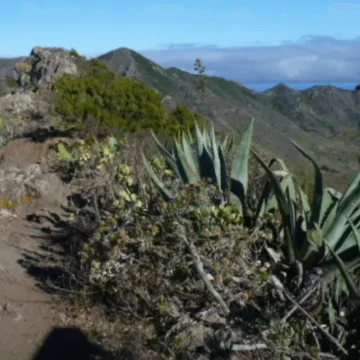 Teneryfa – Trzy praktyczne wskazówki