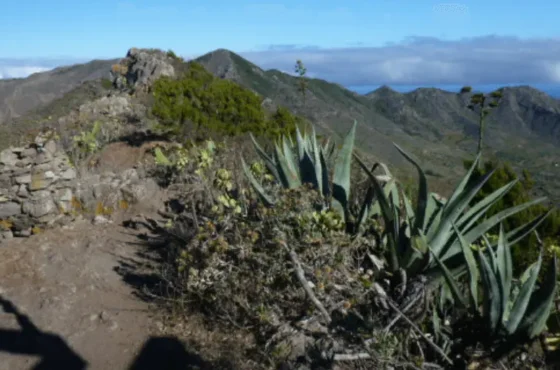 Teneryfa – Trzy praktyczne wskazówki